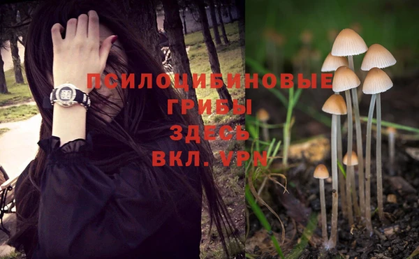 не бодяженный Верея