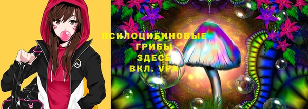 твердый Верхний Тагил