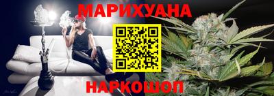 дмт Аргун