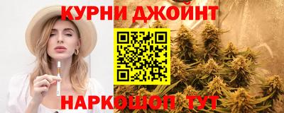 дмт Аргун