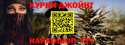 дмт Аргун
