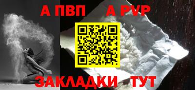 дмт Аргун