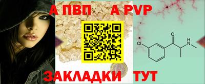 дмт Аргун