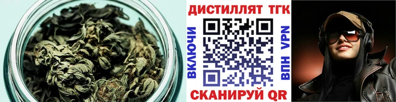 ТГК Wax  Выборг 