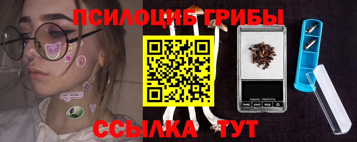 Псилоцибиновые грибы прущие грибы  Вход с VPN  Выборг 